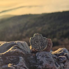 LION, bague en argent du roi