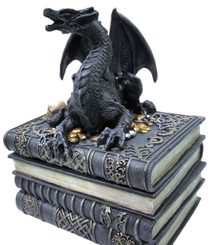 Secrets Of The Dragon, box