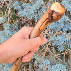 Shillelagh - Irischer Stock, Holz für die Ausbildung