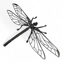MEGANEURA forged dragonfly