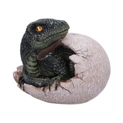 RAPTORS DAWN, dragon or dinosaur egg