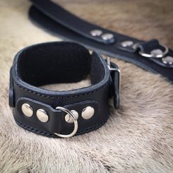 WOLF, leather bag, brown