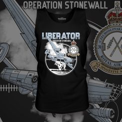 Liberator No 311 Squadron RAF Top Top