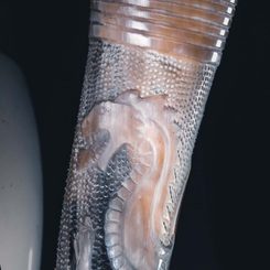 DRAGON, engraved drinking horn, deluxe edition