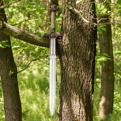 Spartan Sword 300, licence officielle