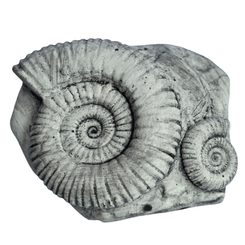 AMONIT, Nachbildung eines Fossils