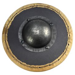 FIST SHIELD - Buckler, 35 cm