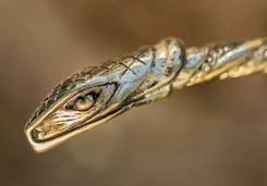 SERPENT, Schlange, Ring, Bronze