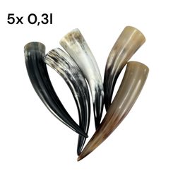 SET OF 5 HORNS - 0,3 l