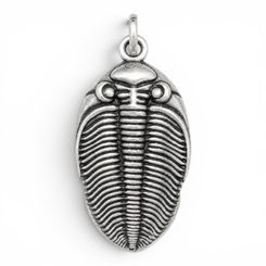 Odontochile Trilobite Pendant, zinc