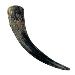 RÅKA - Raven, carved drinking horn