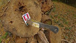 CRUSADER THROWING AXE