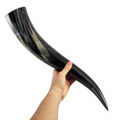 Cornes à boire vikings