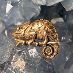 CHAMELEO, pendant, bronze