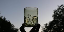 WHISKEY GLASS, Green Forest Glass, 1 pc