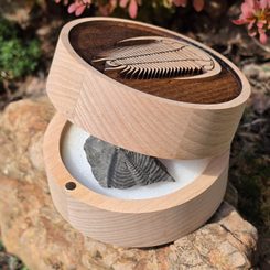 PALEONTOLOGICAL ROCK HAMMER - Trilobite