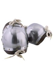 Coude, paire, acier poli