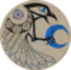 Kurse und Erfahrungen