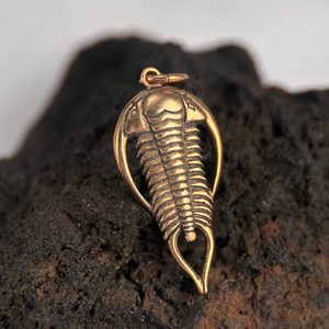 TRILOBIT, Amulett, Talisman, Bronze