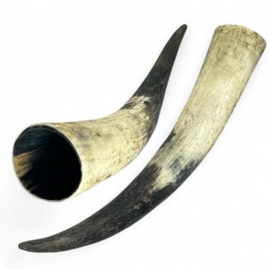 Cow horn raw large 0,5l