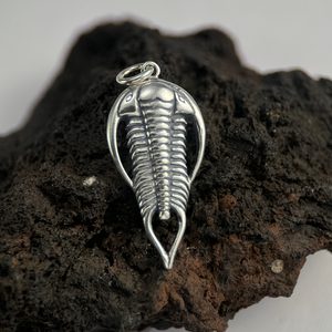 TRILOBITE, silver pendant, Ag 925
