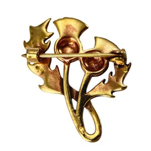 Chardon écossais, bronze Broche