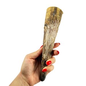 Raw cow horn 0,4 l