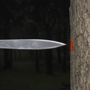 BEAR CLAW, professional throwing knives - 3x set
