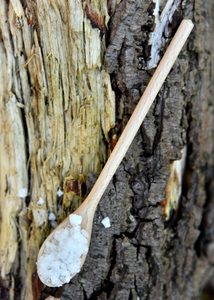 Birch box for salt and spoons