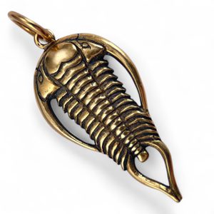TRILOBIT, Amulett, Talisman, Bronze