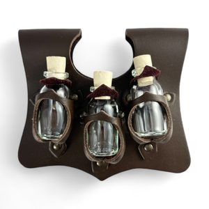 Leather bag for magic potions