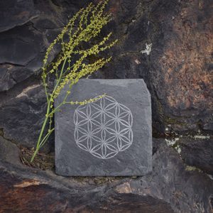 FLOWER OF LIFE SLATE COASTER - GARDEN DECOR{% if kategorie.adresa_nazvy[0] != zbozi.kategorie.nazev %} - SCULPTURES, GARDEN DECOR{% endif %}