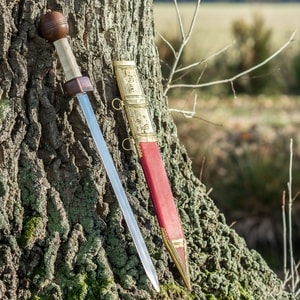 POMPEII GLADIUS SWORD WITH SCABBARD, COLLECTIBLE REPLICA - ÉPÉES ANTIQUES{% if kategorie.adresa_nazvy[0] != zbozi.kategorie.nazev %} - ARMURERIE: LES ARMES{% endif %}