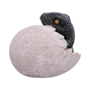 RAPTORS DAWN, dragon or dinosaur egg