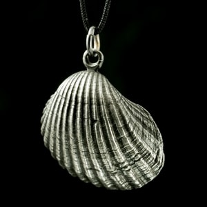 SHELL, pewter pendant