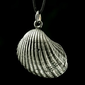 COQUILLE, D'ÉTAIN PENDENTIF - BIJOUX ANIMALIERS{% if kategorie.adresa_nazvy[0] != zbozi.kategorie.nazev %} - BIJOUTERIE{% endif %}