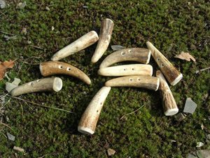 Bouton de bois - cerf