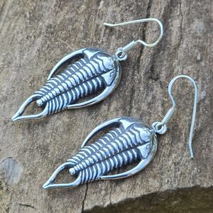 Boucles d'oreilles trilobites, argent 925/1000