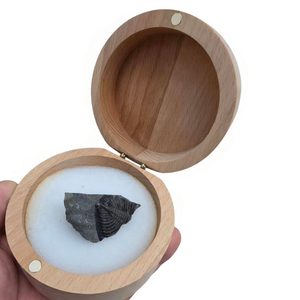 Wooden box for fossils, Trilobit