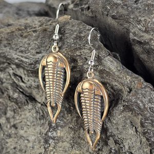 Trilobiten-Ohrringe aus Bronze