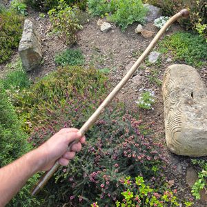 Shillelagh, irischer Stock, Hasel