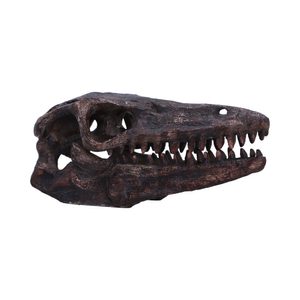 Archaeopteryx, skull, imitation, 18cm