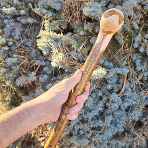 Shillelagh - Irisches Schilfrohr, Haselnuss, Casey's Blackthorns