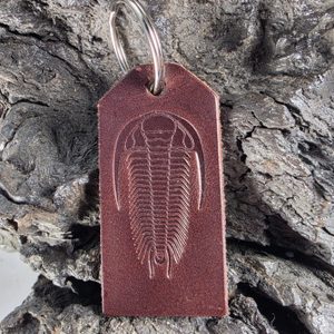 Key ring with trilobite, leather