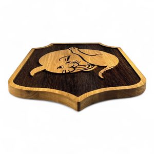 Cat from the Pub, Wooden Shield on the Wall, Kingdom Come: Deliverance 2, large