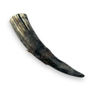 Raw cow horn 0,4 l