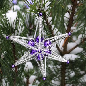 PURPLE STAR, YULE DECORATION FROM BOHEMIA - WEIHNACHTSDEKORATIONEN{% if kategorie.adresa_nazvy[0] != zbozi.kategorie.nazev %} - HOME DECOR{% endif %}