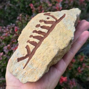 Petroglyph - carved in stone