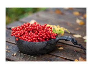Kupilka set KUKSA 210 ml + MISKA 550 ml - Blueberry (BLUE)