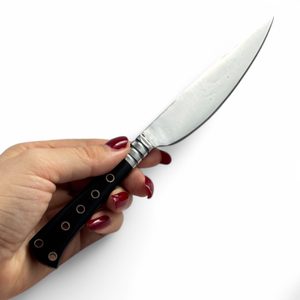 Medieval knife with horn handle and leather sheath